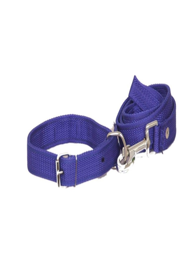 The DDS Store Standard Dog Collar and Leash- Medium Color May Vary - Image 3